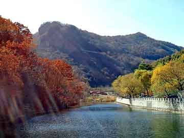 澳门天天免费精准大全，南宫格力犬基地